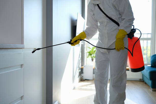 Mold Removal and Inspection in Denison, IA