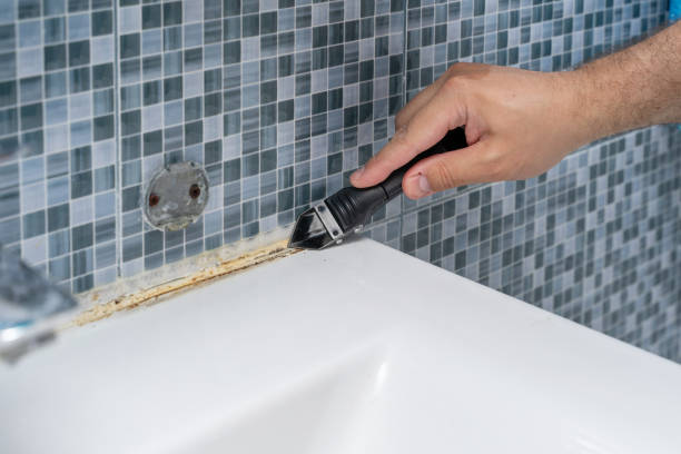 Best Affordable Mold Removal  in Denison, IA